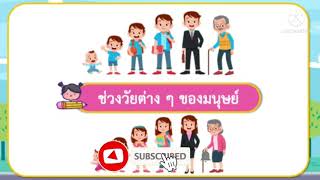 สุขศึกษา ป.2 ธรรมชาติของชีวิตมนุษย์ #การเจริญเติบโต #ช่วงวัยต่างๆ #วงจรชีวิตมนุษย์