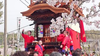 2024.04.07 愛知県武豊町 市原区縣車【縣神社 坂上げ･曳き込み(宮入り)】冨貴地区 祭礼 本楽祭　知多半島山車祭 春祭　令和六年四月七日(日)