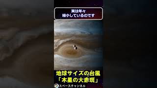 地球サイズの台風!?木星の「大赤斑」#スペースチャンネル