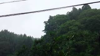 ウェザーリポート動画0904@奈良県宇陀市15:55【ゴォーレベルの雨、髪がなびく風が歩行困難な風・安全な場所から撮影】