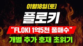 [긴급속보] 01월18일(토)플로키\