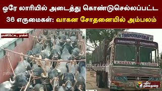 36 buffaloes packed in one truck: Vehicle inspection revealed | Namakkal | PTT