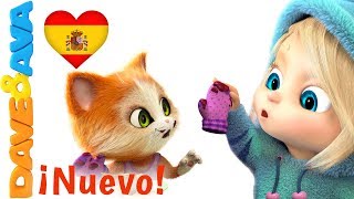 😽 Tres Gatitos | Canciones para Niños de Dave y Ava 😽