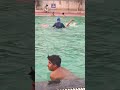 swimming