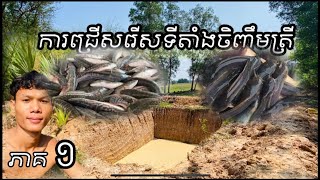 ការជ្រើសរើសទីតាំងចិញ្ចឹមត្រី។