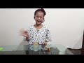 experiment no 13 তড়িৎ দিয়ে খাবার লবণের উপাদান আলাদা করণ i electrolysis of sodium chloride.