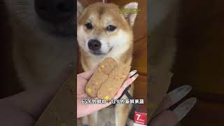 萌宠出道计划 柴犬 狗狗 挑食波狗福满满 日和优宠主食肠