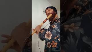 tumse milane Ko Dil Karta hai, flute music Mukesh Kumar