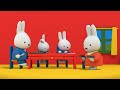 miffy’s car wash miffy sweet little bunny cartoons for kids wildbrain enchanted