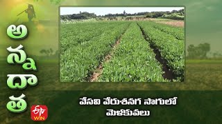 వేసవి వేరుశనగ సాగులో మెళకువలు | Tips for summer ground nut | ETV