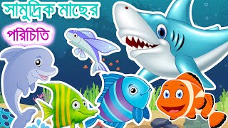 সামুদ্রিক মাছের নাম একনজরে জেনে নিই | Fish Names for kids | esopori