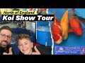 The Ultimate North England Koi Show Experience #koi #koipond #fish