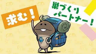 新作アプリ『なめこの巣』この冬配信予定！