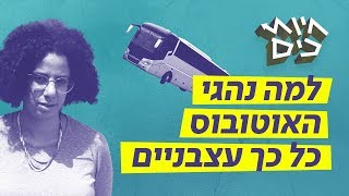 חיות כיס | למה נהגי האוטובוס כל כך עצבניים? 🚌