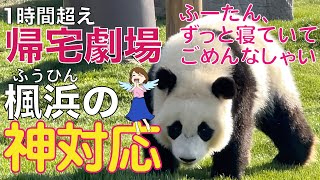 １時間超えの帰宅劇場😮で楓浜（ふうひん）🐼神対応💖😍またもや見せたアイドル魂❣️暑い中、大勢のお客さんを待たせてごめんなしゃい🙏