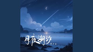 月夜潮汐