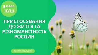 Урок 46. Пристосування до життя та різноманітність рослин. 5 клас. НУШ