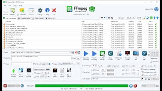 FFmpeg バッチ AV コンバーター - メイン タブと設定