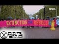 October Rebellion Day #1: A Retrospective | Extinction Rebellion