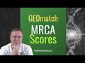 Understand the Scores of the GEDMatch Most Recent Common Ancestor Tool