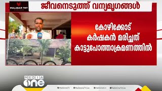 കോഴിക്കോട് കക്കയത്ത് കാട്ടുപോത്തിന്റെ ആക്രമണത്തിൽ ഒരാൾ കൊല്ലപ്പെട്ടു