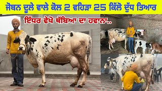 ਜੋਬਨ ਦੂਲੇ ਵਾਲੇ ਕੋਲ 2 ਵਹਿੜਾ ਵਿਕਾਊ ਆ ਵਹਿੜ ਥੱਲੇ 25 ਕਿੱਲੋ ਦੁੱਧ ਤਿਆਰ। ਪਿੰਡ ਦੂਲੇ ਵਾਲਾ। ਮੱਲਾਂਵਾਲਾ