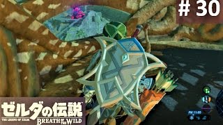 【平原の塔にやっと登れた！: ダ・カソーの祠】 攻略 ゼルダの伝説 ブレスオブザワイルド #30　\