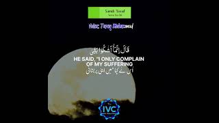 Surah Yusuf Verse 86 Soothing Quran Recitation by Tareq Mohammad #shorts #quran #islam #calm