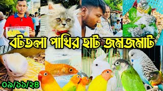 মনোরম পারিবেশে বটতলা পাখির হাট জমজমাট | Mirpur 13 Pakhir Hat | Bottola Pakhir Hat #viralvideo