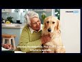 top pet insurance plans for 2024 affordable u0026 comprehensive financebuzz