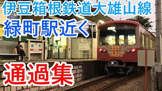 【伊豆箱根鉄道】大雄山線　緑町駅付近踏切　通過シーン　Daiyuzan Line Crossing near Midoricho Station Passing scene