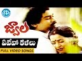 Jwala Movie Songs || Evevo Kalalu Video Song || Chiranjeevi, Radhika, Bhanupriya | Ilayaraja