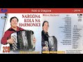 Miodrag Mikica Markovic - Kolo iz Dragova - (Audio 2004)