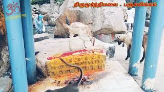 Thirumoorthi Hill (திருமூர்த்தி மலை) - Panjalingam, Udumalaipet.