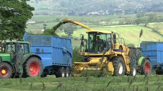 1st Silage 20 N.H FX48 Chopping, with a great view of Ingleborough 21st May 20