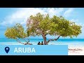 Discover Aruba | TUI