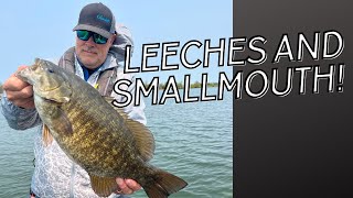 Very Productive Bait that catches them GOOD!  Nikko Zaza Leech!