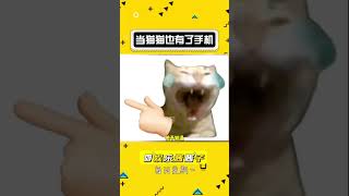 当猫猫也有了手机#猫咪的迷惑行为 #猫猫的事情你少管 #娱乐评论大赏#shorts