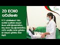 ruhunu hospital ecg 2d echo ultra sound scan testing