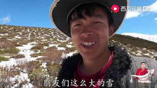 【大山的馈赠】阿斌和全村人一起上山挖虫草，运气不错，在雪地里挖到一根虫草 | 嘉绒阿斌