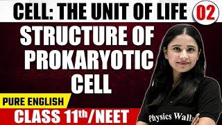 CELL - THE UNIT OF LIFE | Structure of Prokaryotic Cell | Botany | Pure English | Class 11th / NEET