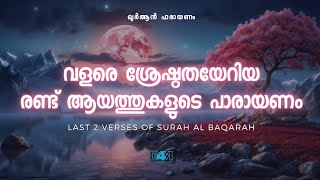 ശ്രേഷ്ഠതയേറിയ സൂറത്തുൽ ബഖ്റയിലെ അവസാനത്തെ 2 ആയത്തിൻ്റെ പാരായണം|Al-baqarah|Quran recitation|