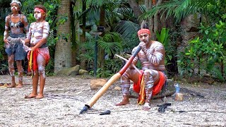 澳洲黃金海岸可倫賓野生動物園28/33 Currumbin Wildlife Sanctuary, Gold Coast (Australia)