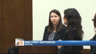 Woman Who Stole Service Dog Sentenced to 50