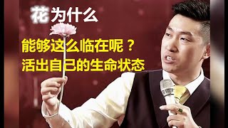 周文强：花为什么能够这么临在呢？活出自己的生命状态！