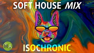 Soft House Upbeat Study Music + Isochronic Tones - French Bulldog Mix