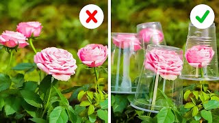 SIMPLE GARDEN HACKS WITH EXPLOSIVE RESULTS