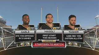 November 15, 2015 - CFL - East Semi-Final - Toronto Argonauts @ Hamilton Tiger-Cats