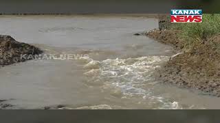 Farm Land Submerged Under Sea Water In Kendrapara, Farmers Tensed