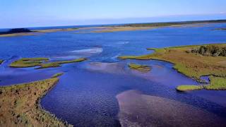 Leavy Bay, Panacea Florida